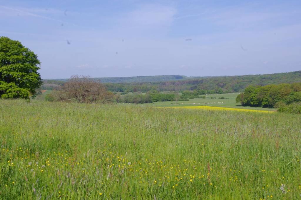 La-Haut, Gite-Maison De Vacances Poinson-les-Fayl Zewnętrze zdjęcie